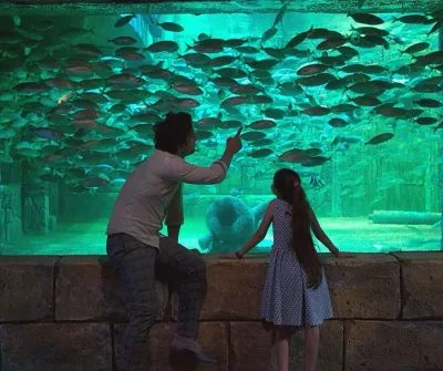 Влезница за ViaSea Aquarium — photo 11