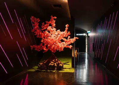 Digital Experience Museum Bilet Sırasını Atla Girişi — photo 8