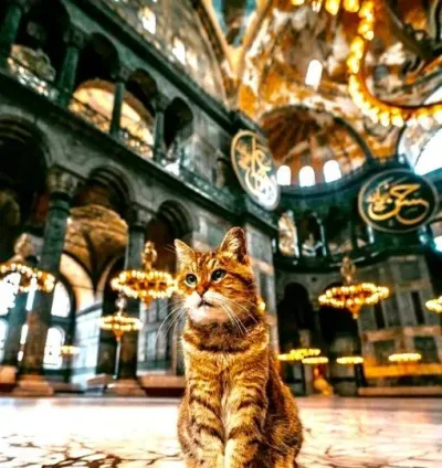 Hagia Sophia Guided Tour — photo 2