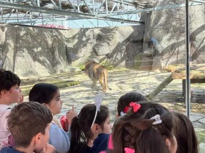 Влез во зоолошката градина Lion Park — photo 8