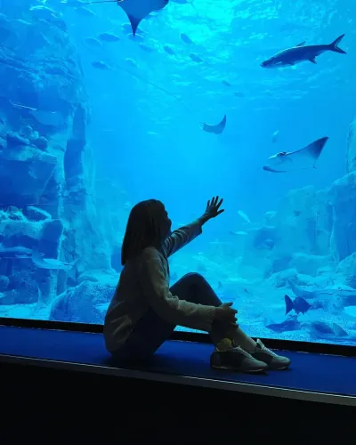 Biglietto d’ingresso per l’Istanbul Aquarium — photo 8