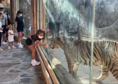 Влез во зоолошката градина Lion Park — photo 11