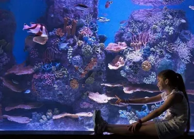 Влезница за ViaSea Aquarium — photo 10