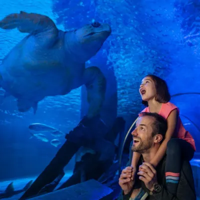 Biglietto d’ingresso per l’Istanbul Aquarium — photo 2