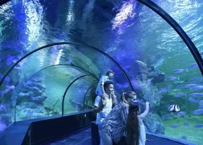 Влезница за ViaSea Aquarium — photo 5