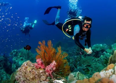 الدخول إلى Emaar Aquarium and Underwater Zoo دون انتظار التذاكر — photo 11
