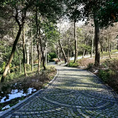 Tour a piedi di Yildiz Park con audioguida — photo 5
