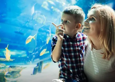 الدخول إلى Emaar Aquarium and Underwater Zoo دون انتظار التذاكر — photo 2