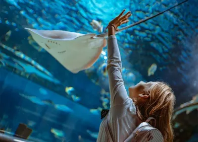 الدخول إلى Emaar Aquarium and Underwater Zoo دون انتظار التذاكر — photo 5