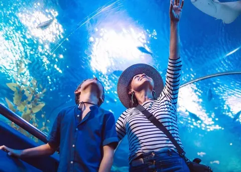 Emaar Aquarium and Underwater Zoo