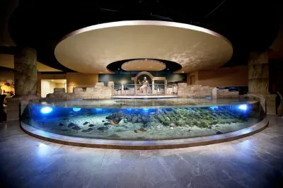Biglietto d’ingresso per l’Istanbul Aquarium — photo 9