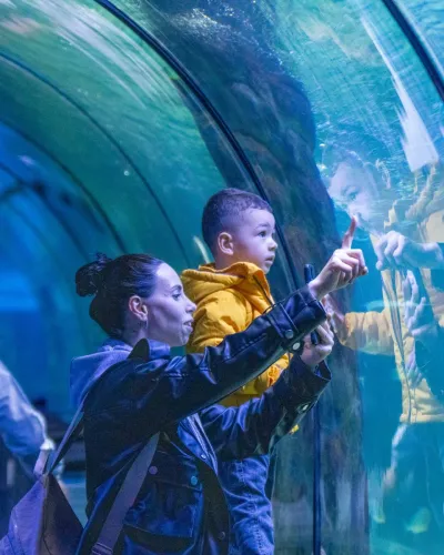 Влезница за ViaSea Aquarium — photo 4