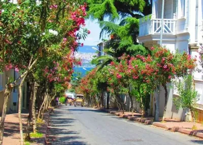Εισιτήριο με πλοίο μετ’ επιστροφής για το Νησί Buyukada με Ηχητικό Οδηγό — photo 7