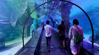 Влезница за ViaSea Aquarium — photo 12