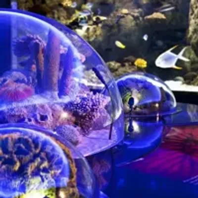 Biglietto d’ingresso per l’Istanbul Aquarium — photo 12