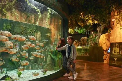 الدخول إلى Emaar Aquarium and Underwater Zoo دون انتظار التذاكر — photo 10