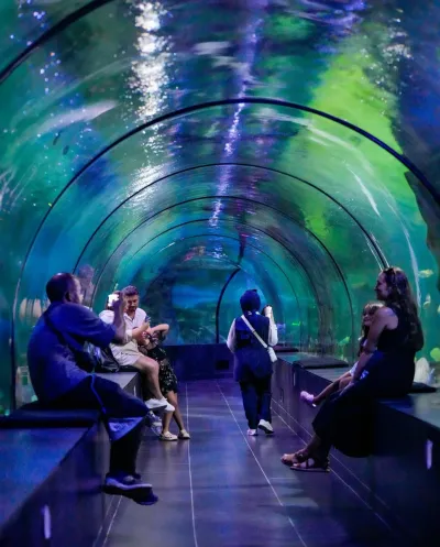 Влезница за ViaSea Aquarium — photo 7