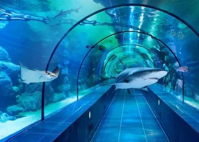 Влезница за ViaSea Aquarium — photo 1