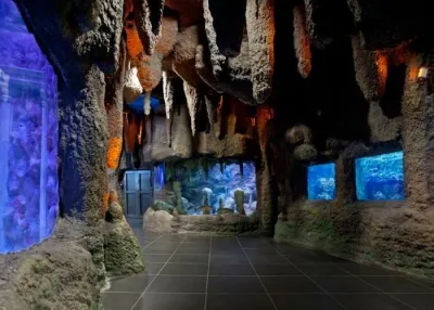 Влезница за ViaSea Aquarium — photo 9