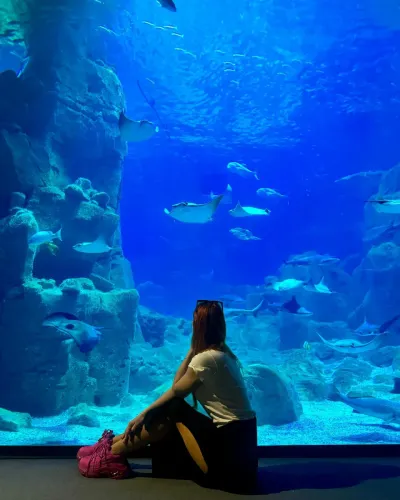 Biglietto d’ingresso per l’Istanbul Aquarium — photo 3