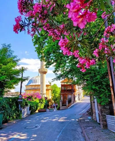 Burgazada Island Walking Tour with Audio Guide — photo 11