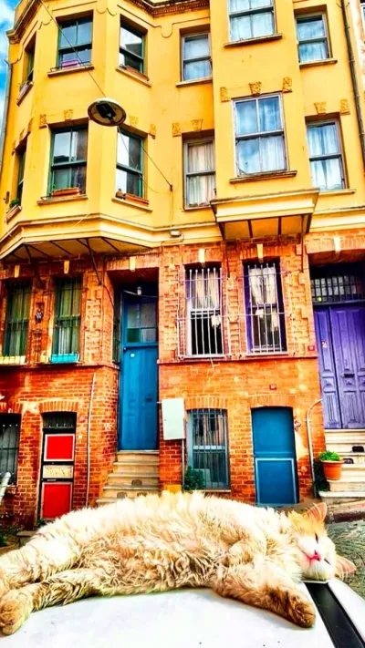 Rundgang durch Fener und Balat mit Audioguide — photo 10