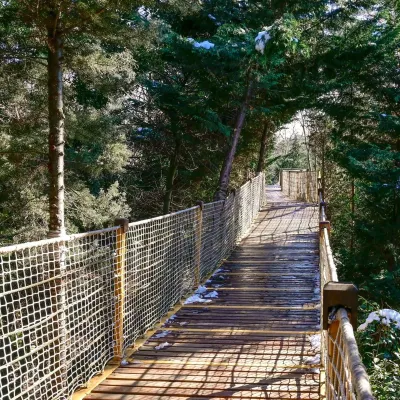 Tour a piedi di Yildiz Park con audioguida — photo 6