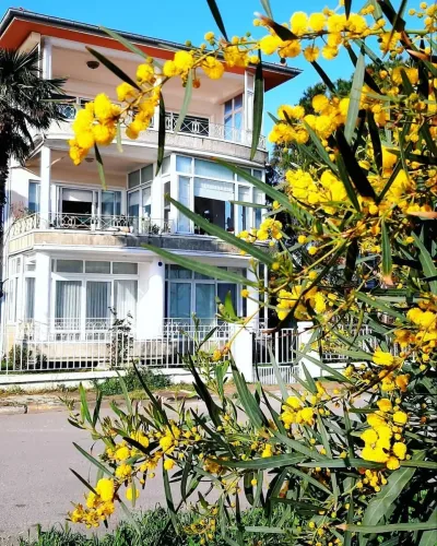 Εισιτήριο με πλοίο μετ’ επιστροφής για το Νησί Buyukada με Ηχητικό Οδηγό — photo 11