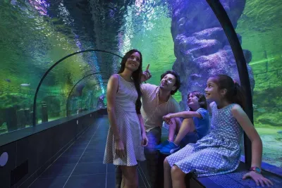 Влезница за ViaSea Aquarium — photo 3