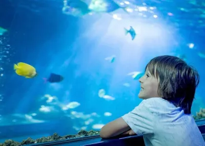 الدخول إلى Emaar Aquarium and Underwater Zoo دون انتظار التذاكر — photo 4