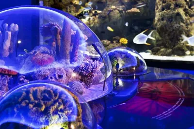 Biglietto d’ingresso per l’Istanbul Aquarium — photo 1