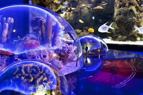 Istanbul Aquarium Entry Ticket