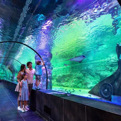 Влезница за ViaSea Aquarium — photo 2