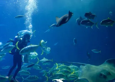 الدخول إلى Emaar Aquarium and Underwater Zoo دون انتظار التذاكر — photo 8