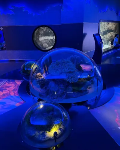 Biglietto d’ingresso per l’Istanbul Aquarium — photo 11
