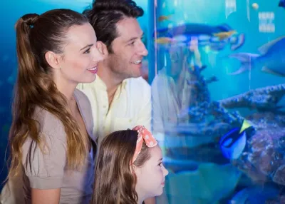 الدخول إلى Emaar Aquarium and Underwater Zoo دون انتظار التذاكر — photo 3