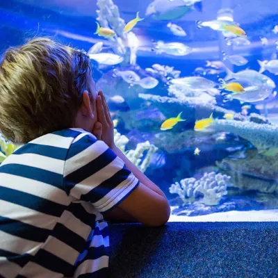 الدخول إلى Emaar Aquarium and Underwater Zoo دون انتظار التذاكر — photo 12